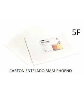 CARTÓN ENTELADO PHOENIX 5F 35X27CM
