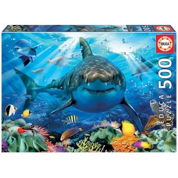 PUZZLE 500 
