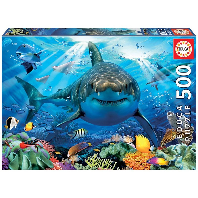 PUZZLE 500 