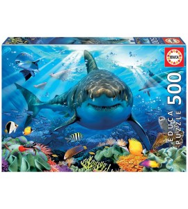 PUZZLE 500 