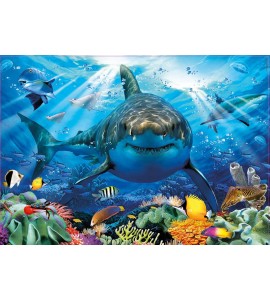 PUZZLE 500 