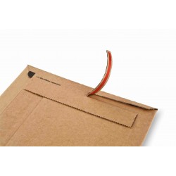 SOBRE CARTON ENVIO 215X300X50