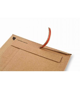 SOBRE CARTON ENVIO 215X300X50