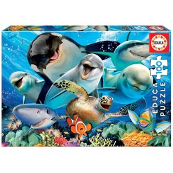 PUZZLE 100