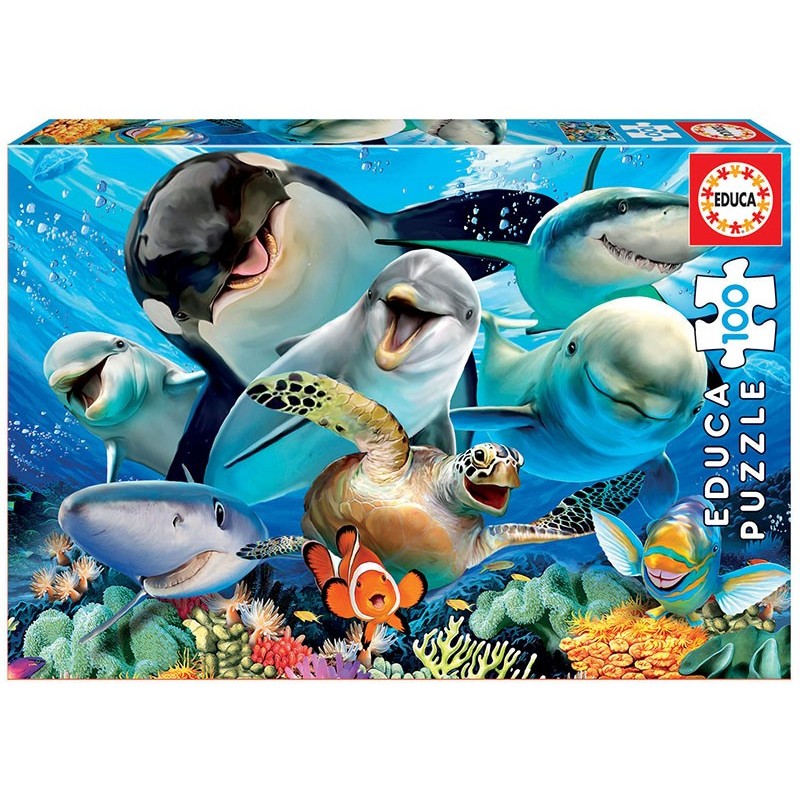 PUZZLE 100
