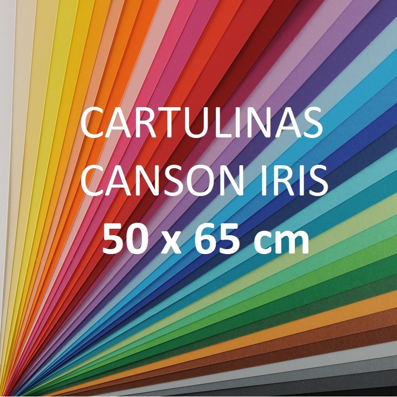 Cartulina Canson Iris...