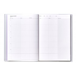 Agenda de Programacion