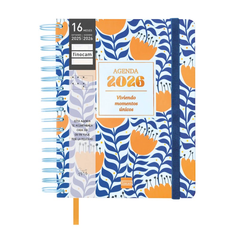 AGENDA FINOCAM 16 MESES...