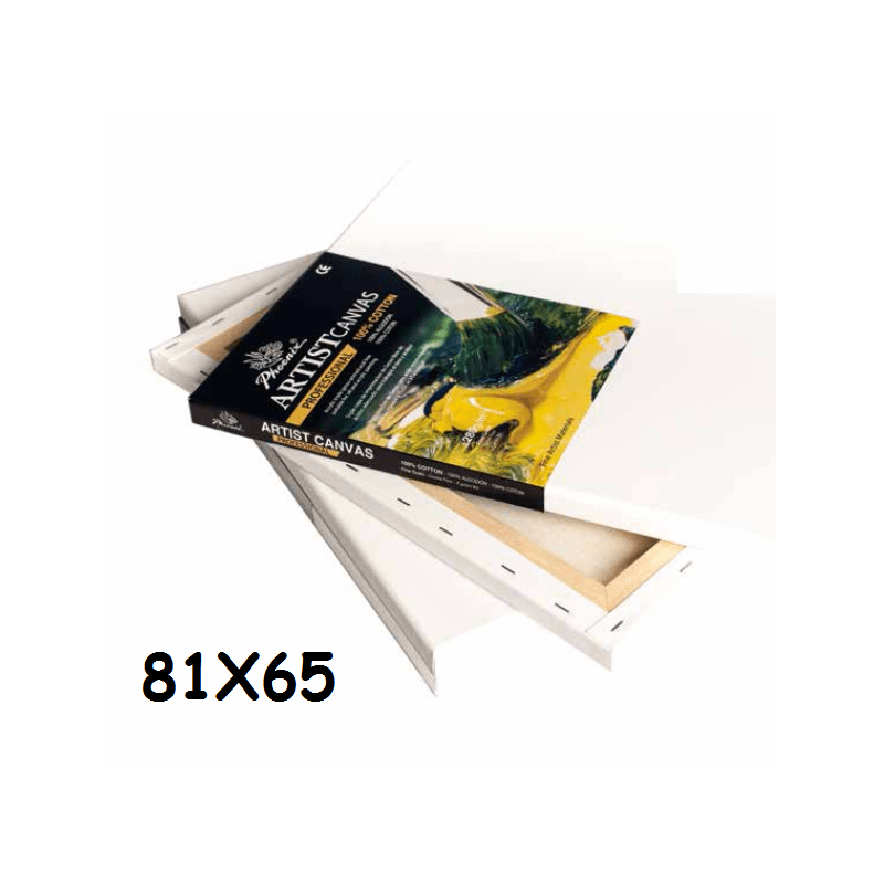 LIENZO PHOENIX PROFESSIONAL 25-F 81X65