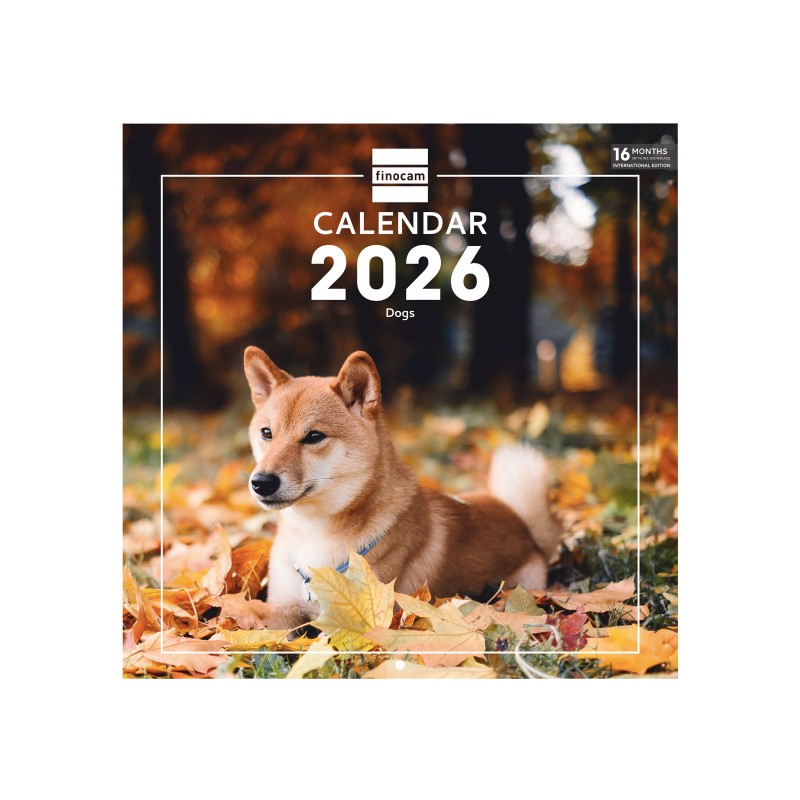 CALENDARIO PARED 30X30 2026...