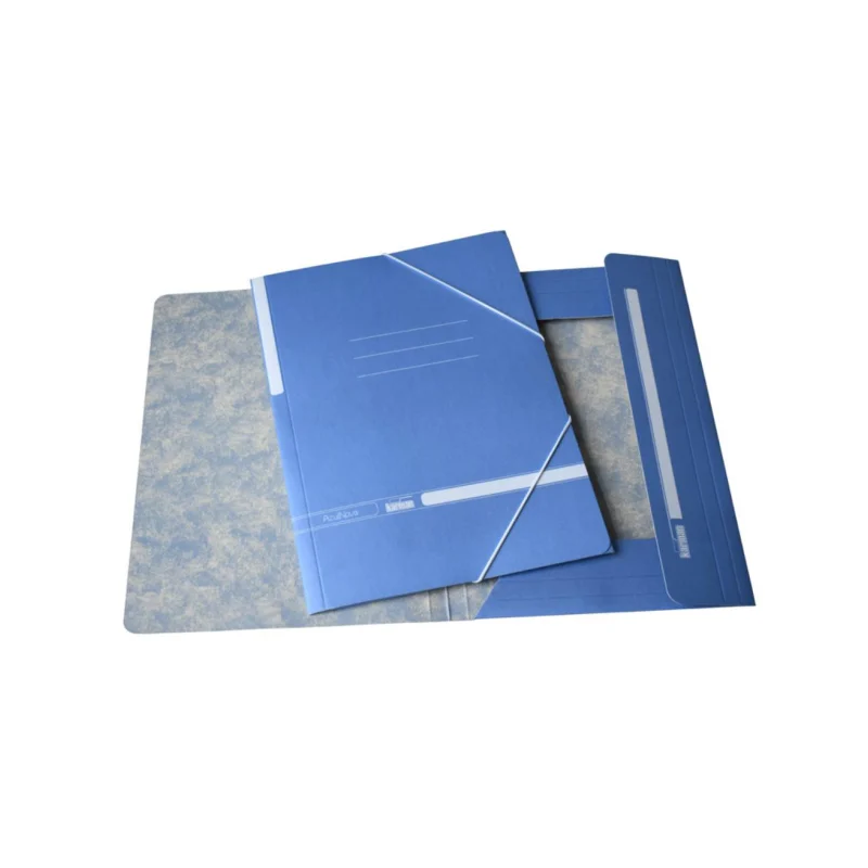 CARPETA CARTON Fº GOMAS Y...