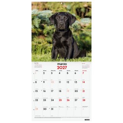 CALENDARIO PARED ESCRIBIR 30x30 CACHORROS 2027
