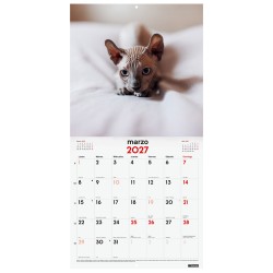 CALENDARIO PARED ESCRIBIR 30x30 GATITOS 2027