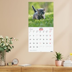 CALENDARIO PARED ESCRIBIR 30x30 GATITOS 2027