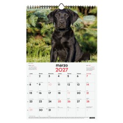 CALENDARIO PARED ESCRIBIR 25X40 2027 CACHORROS