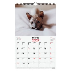 CALENDARIO PARED ESCRIBIR 25X40 2027 GATITOS