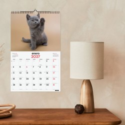 CALENDARIO PARED ESCRIBIR 25X40 2027 GATITOS