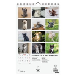 CALENDARIO PARED ESCRIBIR 25X40 2027 GATITOS
