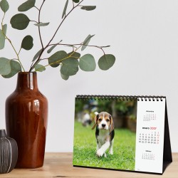 CALENDARIO SOBREMESA ESCRIBIR 210X150 2027 CACHORROS