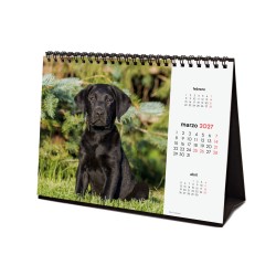 CALENDARIO SOBREMESA ESCRIBIR 210X150 2027 CACHORROS