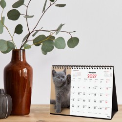 CALENDARIO SOBREMESA ESCRIBIR 210X150 2027 GATITOS