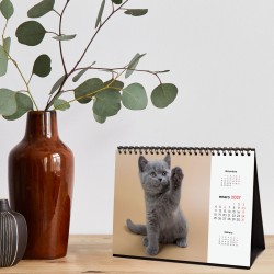 CALENDARIO SOBREMESA ESCRIBIR 210X150 2027 GATITOS