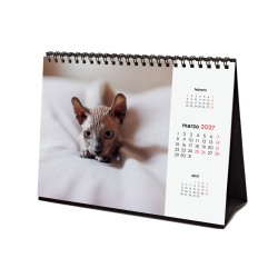 CALENDARIO SOBREMESA ESCRIBIR 210X150 2027 GATITOS