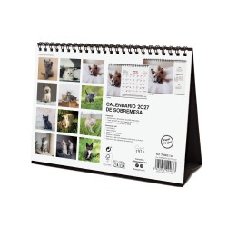 CALENDARIO SOBREMESA ESCRIBIR 210X150 2027 GATITOS