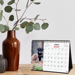 CALENDARIO SOBREMESA ESCRIBIR 210X150 2027 PERROS Y GATOS