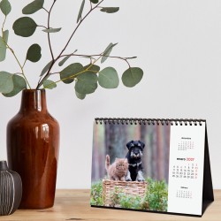 CALENDARIO SOBREMESA ESCRIBIR 210X150 2027 PERROS Y GATOS