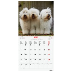 CALENDARIO PARED 30X30 2027 DOGS INT