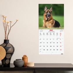 CALENDARIO PARED 30X30 2027 DOGS INT