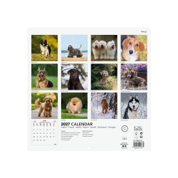 CALENDARIO PARED 30X30 2027 DOGS INT