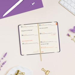 AGENDA FLEXI JOY F2 82X127 SV 2027 FIONA