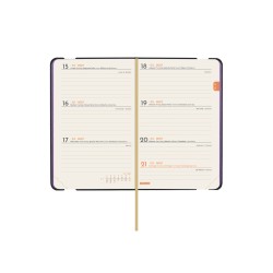 AGENDA FLEXI JOY F2 82X127 SV 2027 FIONA