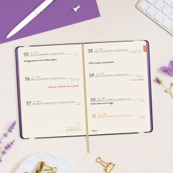 AGENDA FLEXI JOY F4 118X168 SV 2027 FIONA