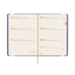 AGENDA FLEXI JOY F4 118X168 SV 2027 FIONA