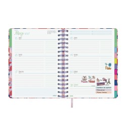AGENDA TALKUAL 1/4 SVH 2027 MAGIA