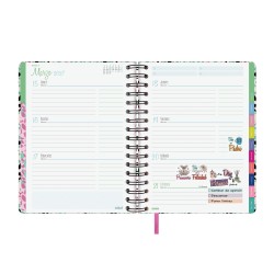 AGENDA TALKUAL 1/4 SVH 2027 PLAN