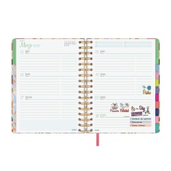 AGENDA TALKUAL 1/4 SVH 2027 VERSION